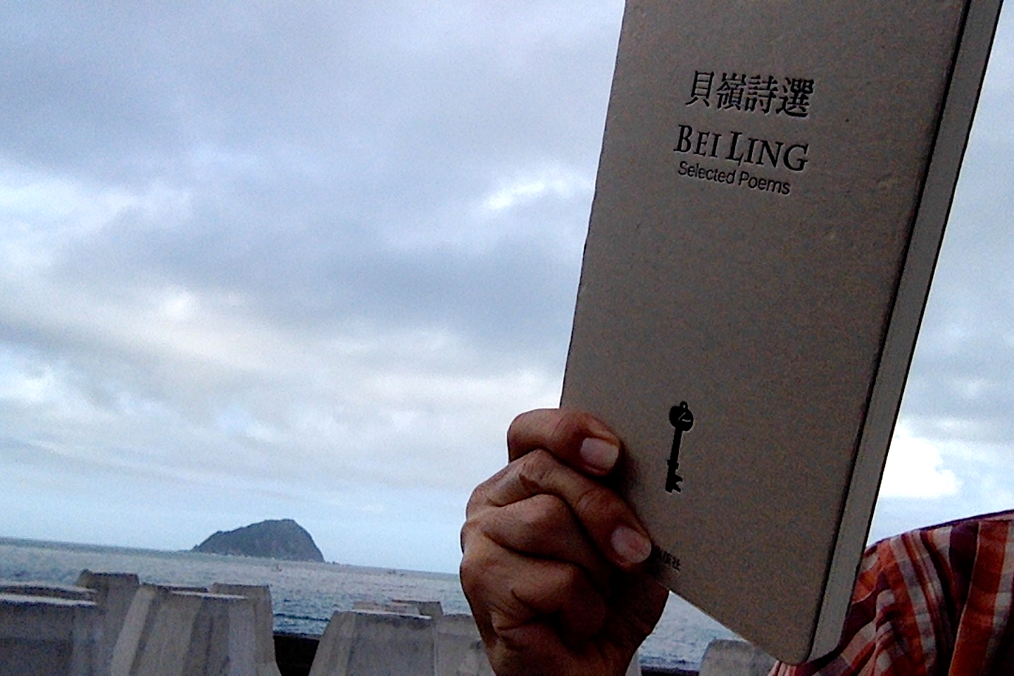 Misunderstanding: Readings of Bei Ling’s selected poems