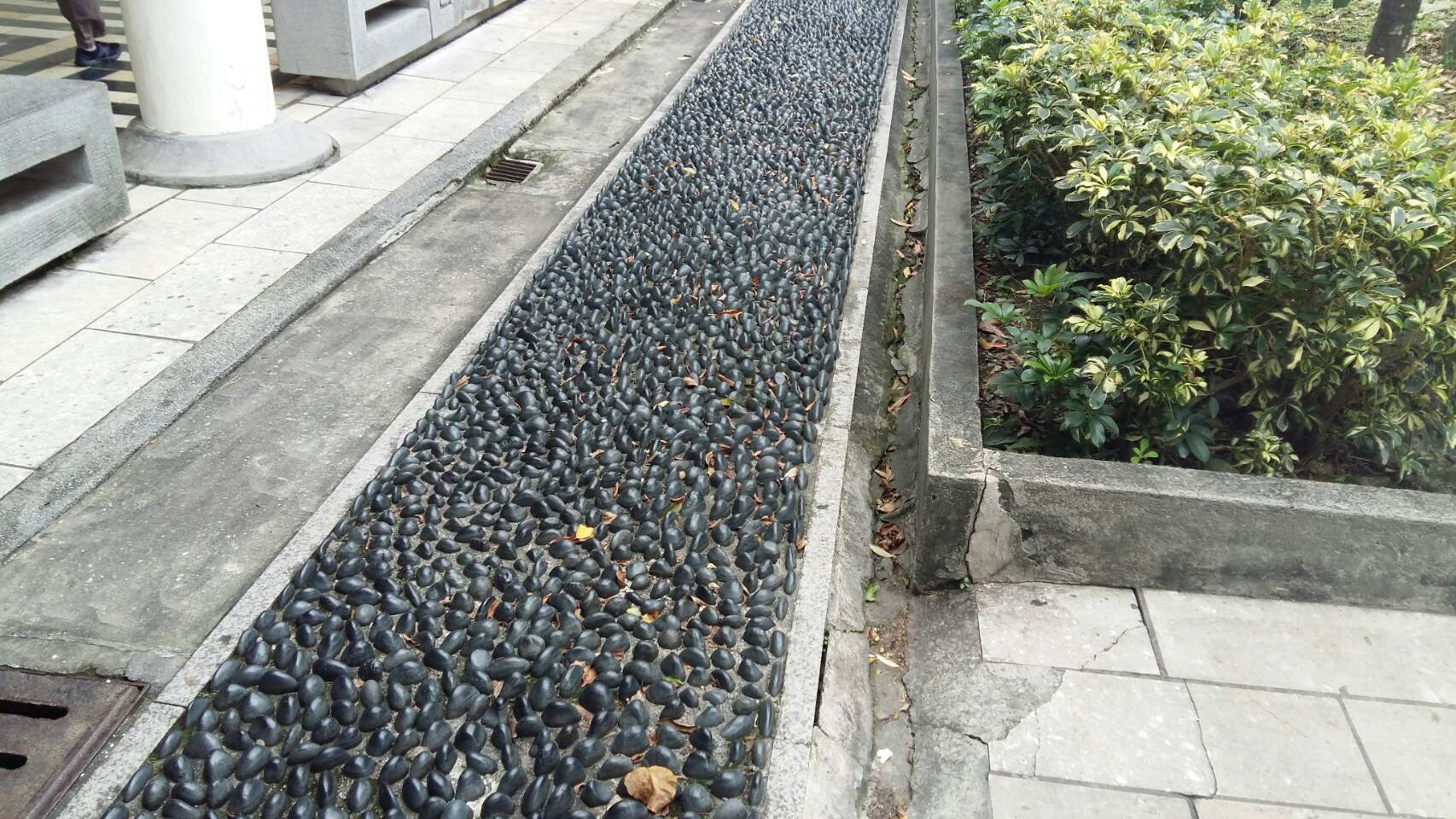 Health path? Health path?