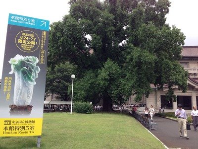 Taiwan’s “Jadeite Cabbage” surpasses Mona Lisa in crowds at Tokyo museum