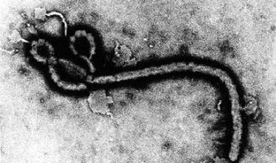 Taiwan office in Nigeria continues to monitor Ebola outbreak