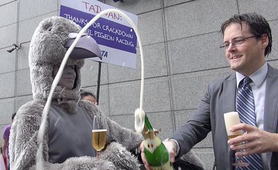 PETA praises Taiwan for cracking down on pigeon race gambling