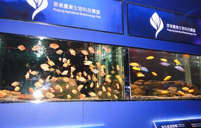 Asia-Pacific Operation Center for Aquaculture opens in Pingtung