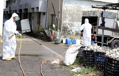 406 new cases of dengue fever reported Tuesday