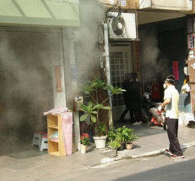 Dengue fever cases top 36,000