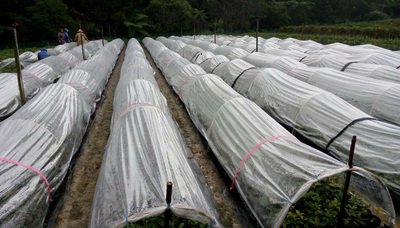 Ministries spring to action to deal with cold, snow