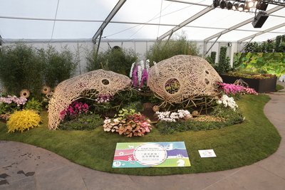 Taiwan wins silver prize at Ghent Flower Show in Belgium