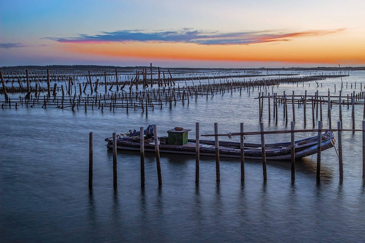 How about a place to reminisce on 2018 before the new year?