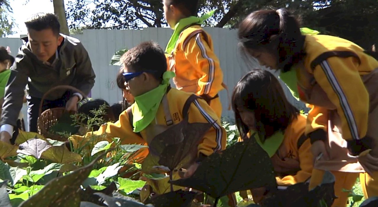 VIDEO: Hsinchu Zoo introduces “food forests”