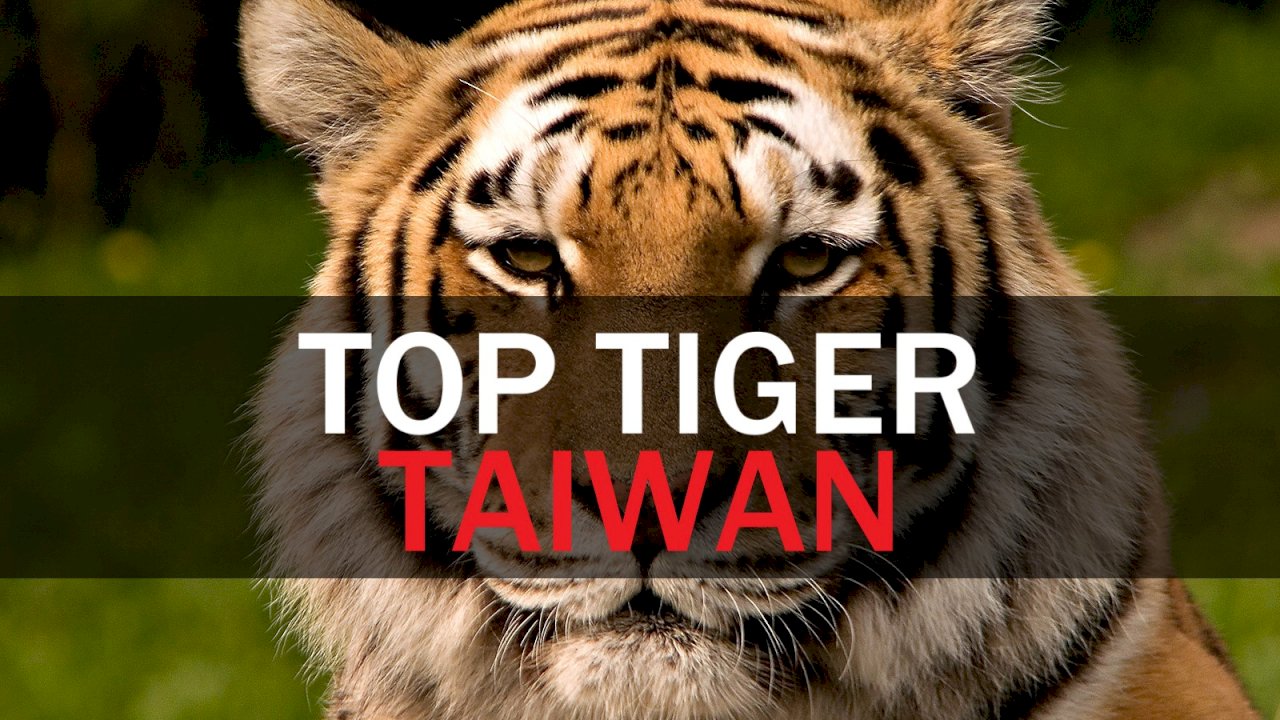 WATCH: Taiwan Insider, Nov 7, 2019