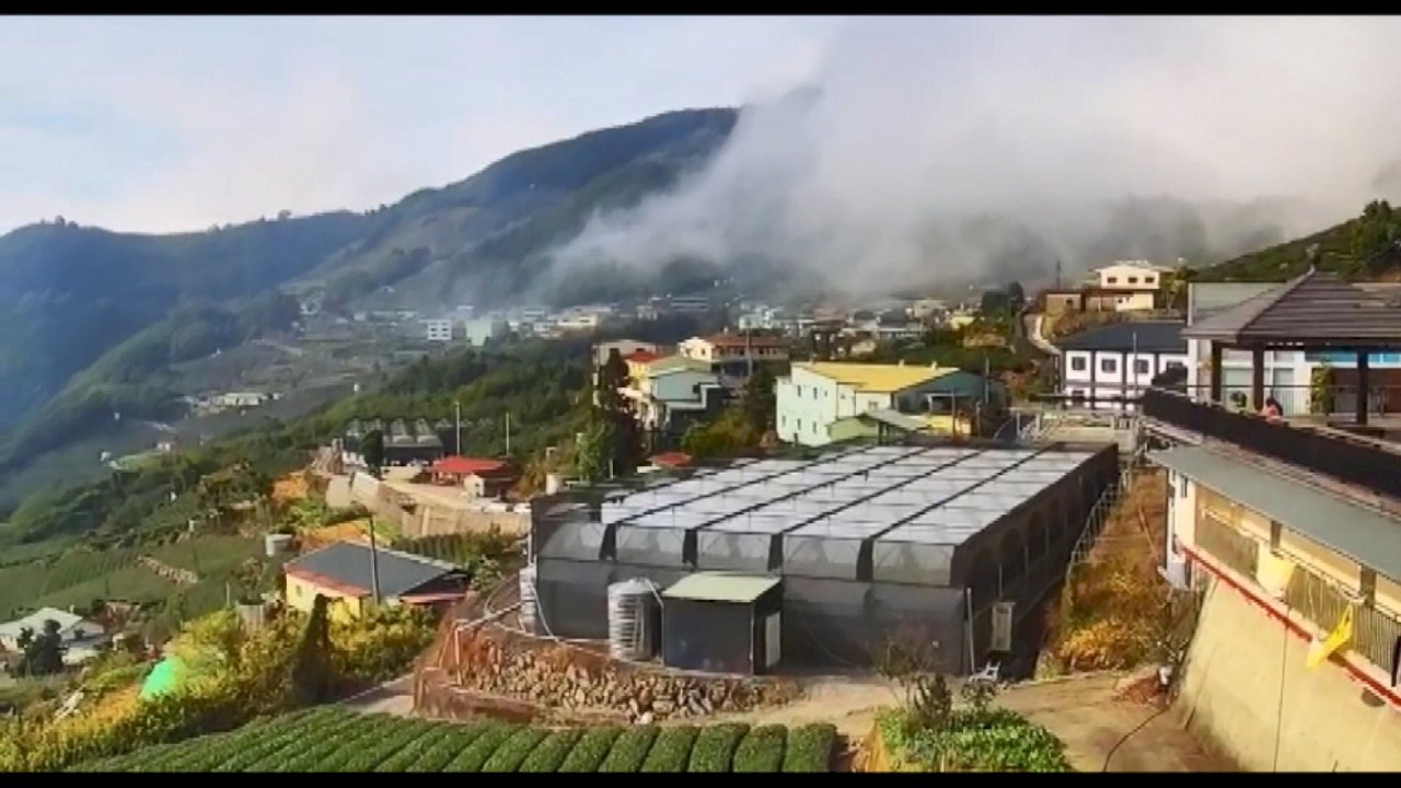 VIDEO: Alishan website provides live webcast showing weather conditions