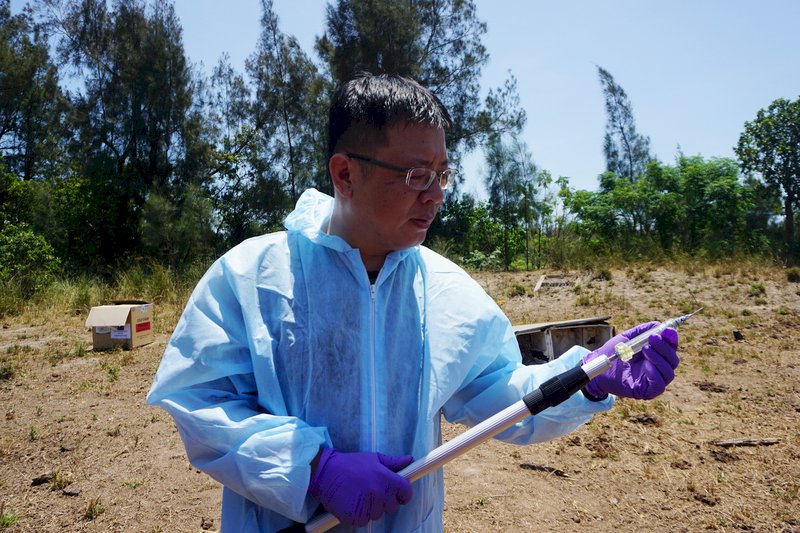 Cattle on Kinmen vaccinated against lumpy skin disease