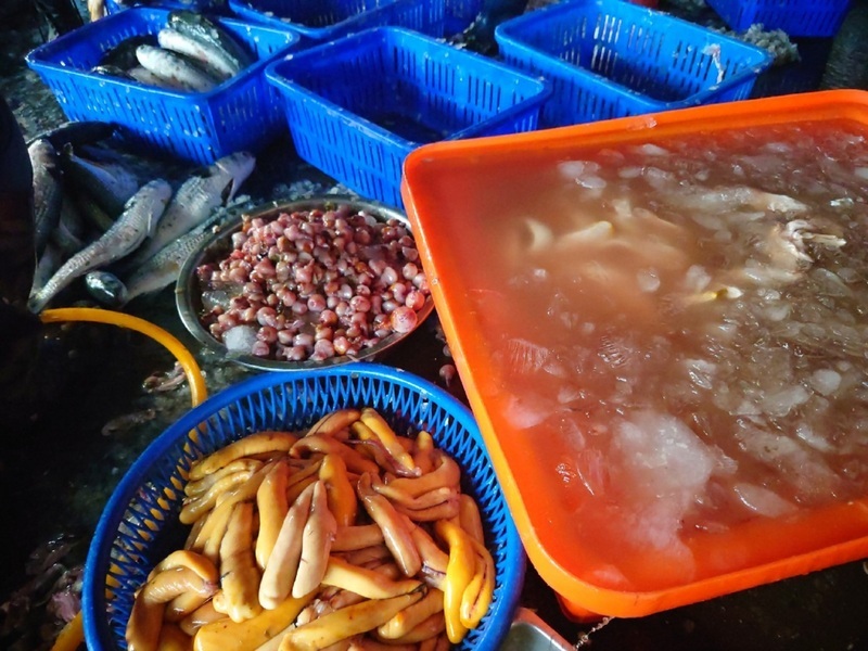 WATCH: First batch of aquacultured mullet weighs in with increased market prices