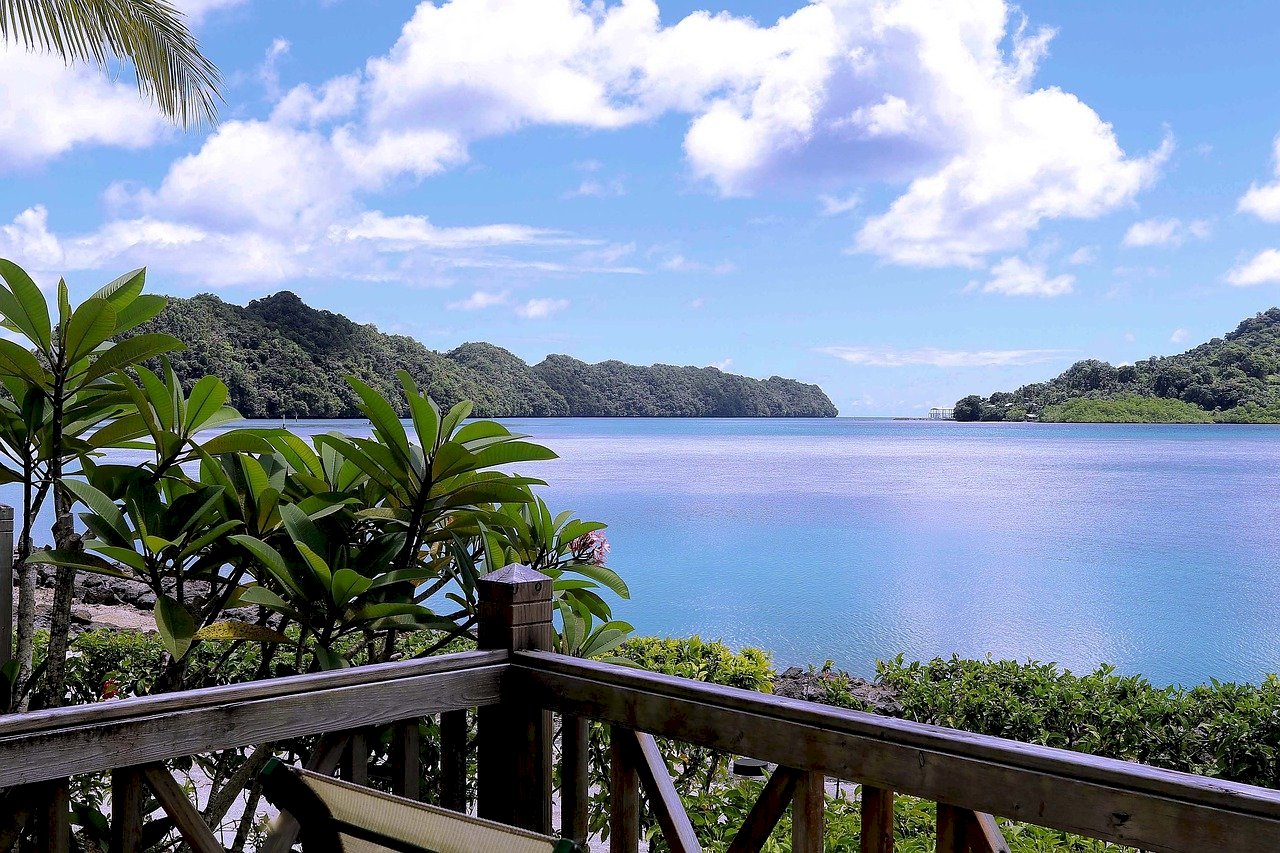 Taiwan to send experts, supplies to help Palau with COVID outbreak