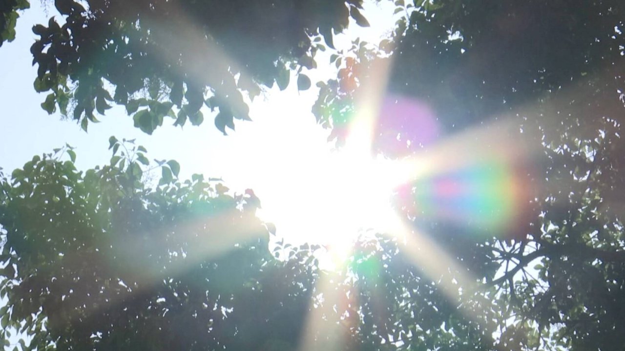 Where’s the rain? Expected plum rains surprisingly scarce