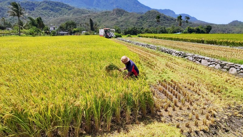 Agriculture council upgraded to ministry status