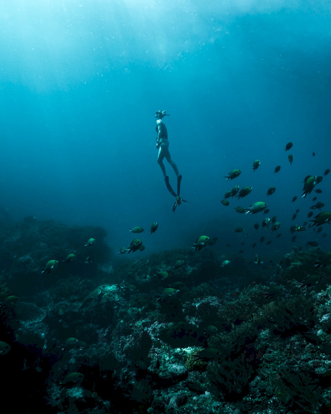 Int’l freediving association apologises for removing Taiwan flag