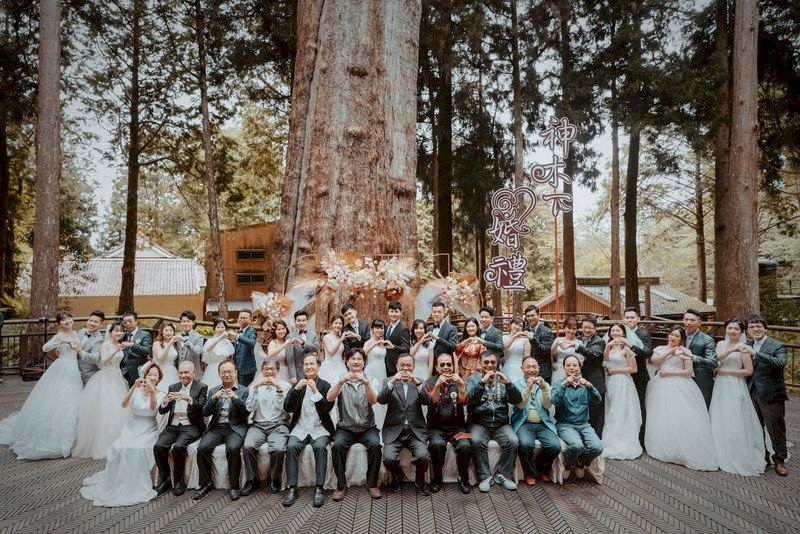 Airsoft gun and DNA testing on giant trees