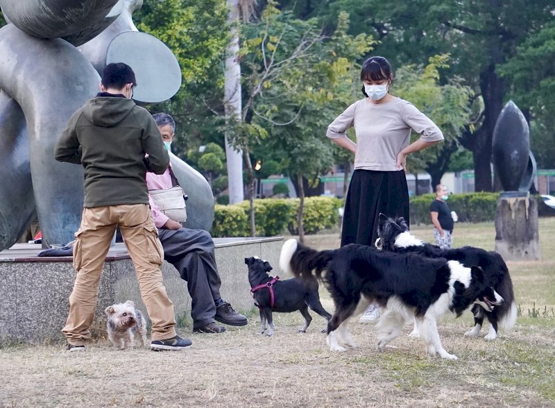 Protecting Our Furry Friends