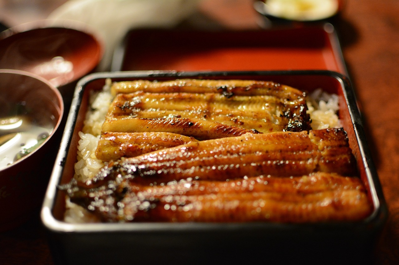 Eel Bones, Work Hours, and Halloween
