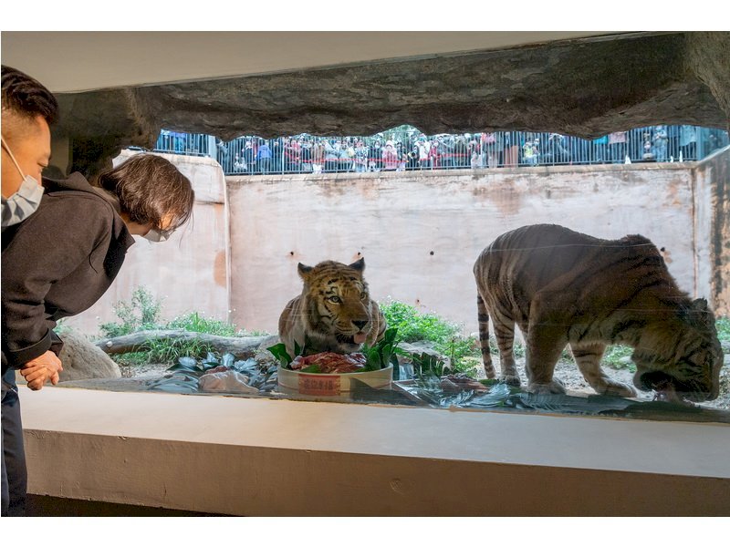 A visit to the Hsinchu Zoo