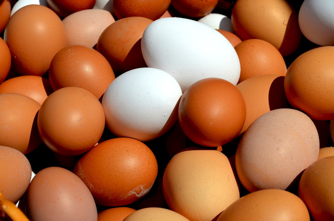 VIDEO: Taiwan hit with egg shortage