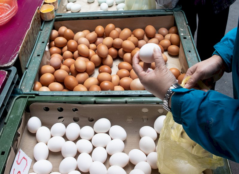 No egg imports from Japan’s bird flu-affected areas: Premier