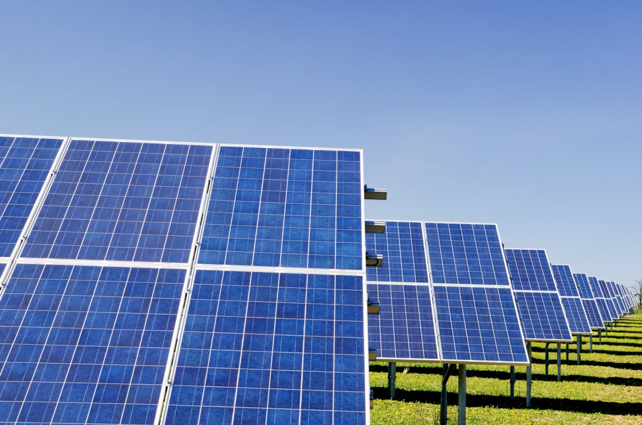 Net-zero transition will create energy surplus: President