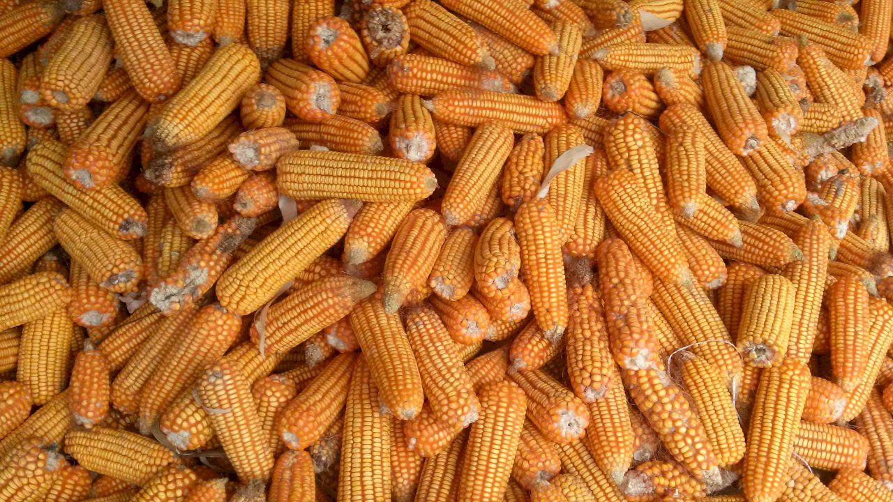 Taiwan signals intent to buy US$3.2 billion of US agriculture products
