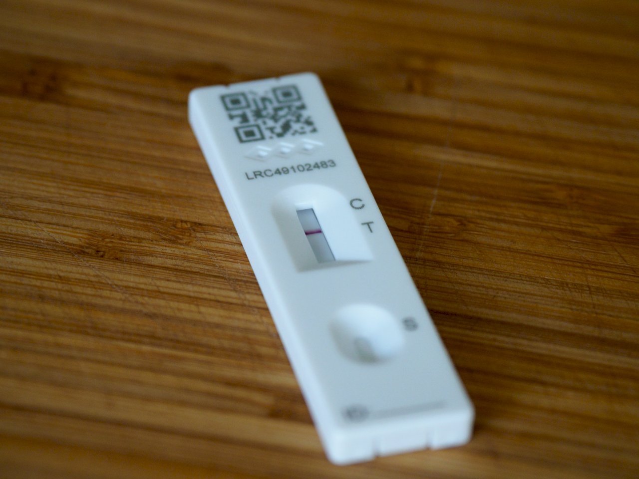 Government rapid test distribution to begin in May, target price US$3.40