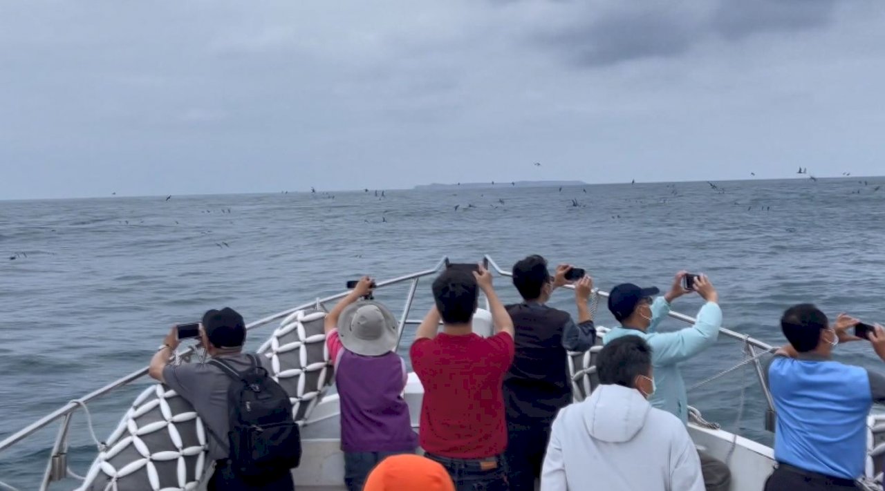 VIDEO: Tourism Bureau promotes island-hopping tours for bird watchers