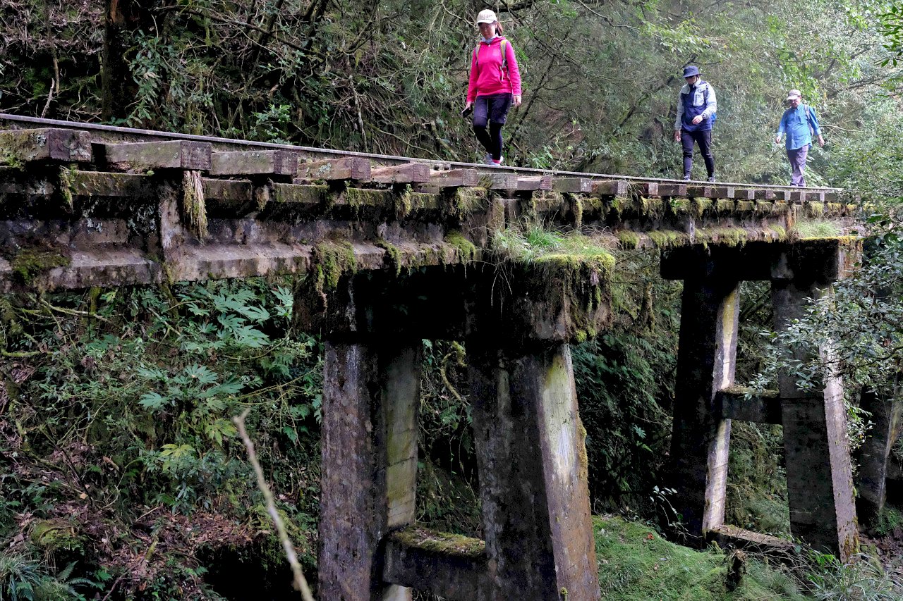 Hiking Alishan’s historic Mianyue trail