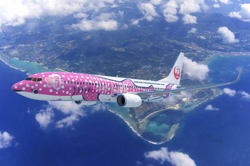 JAL whale shark plane surfaces at Taoyuan International Airport