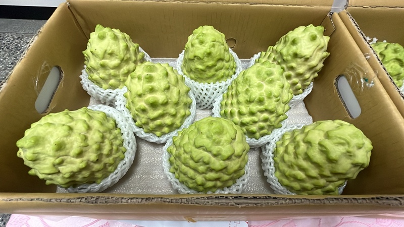 Taiwanese sugar apples make a comeback in China after two years