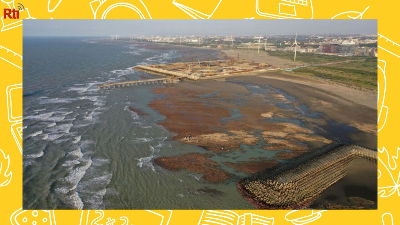 Algal Reefs and Being an Environmental Activist (Part 2)