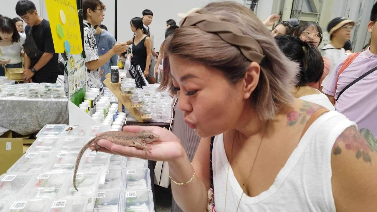 Michelle Chiang on being a Jack of All Trades