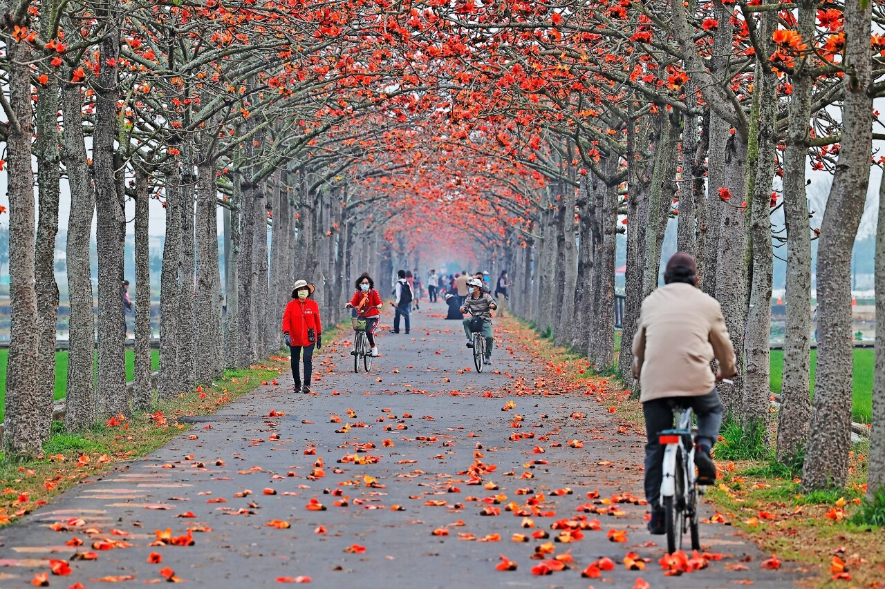 Mid-autumn: A traditional harvest moon festival