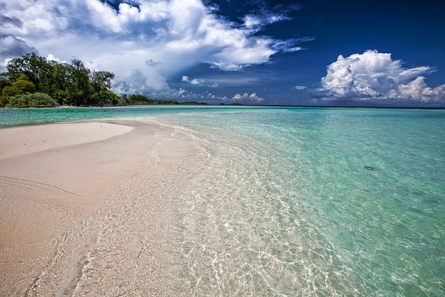 Dreaming of sun, surf and sand