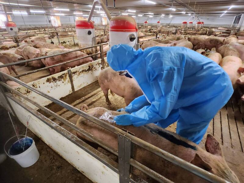 Cimbuterol pork investigation underway