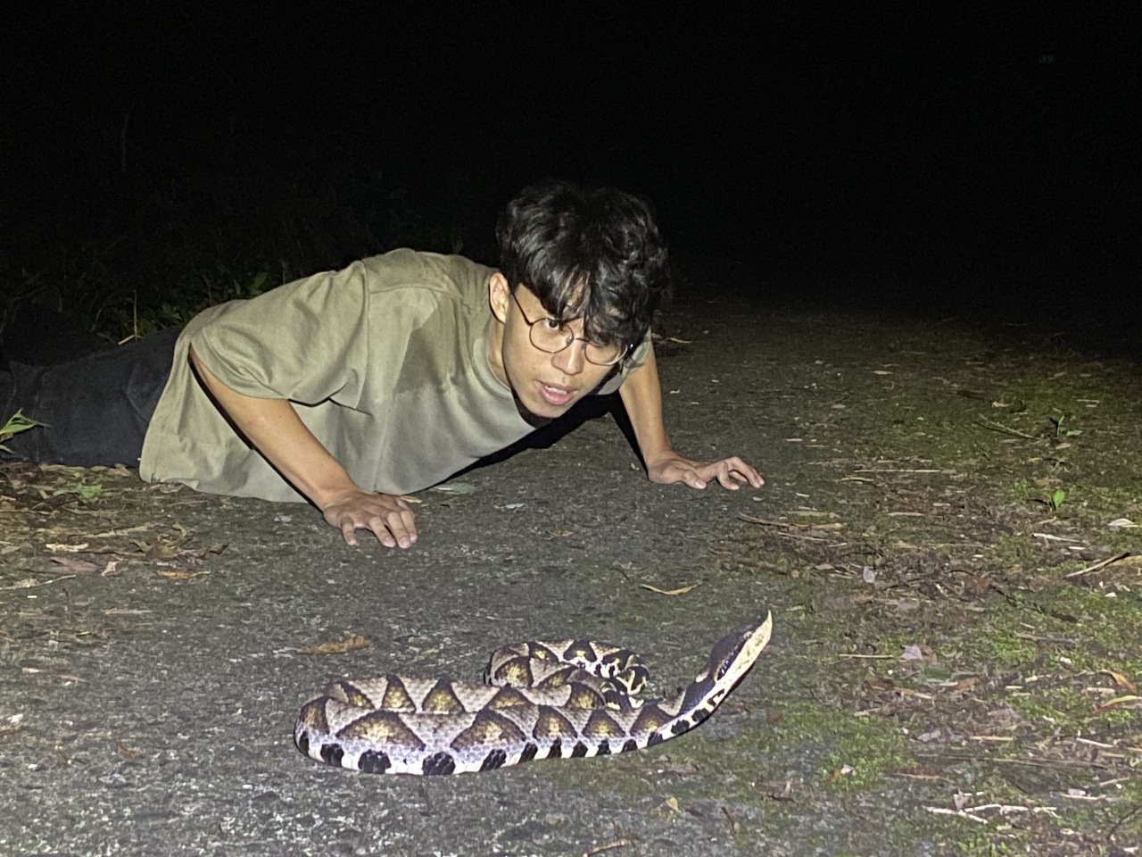 Discovering Taiwan's reptiles and amphibians
