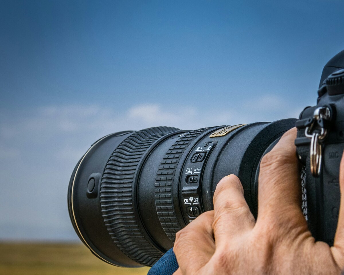 Wildlife through the lens