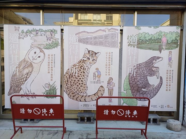 Animal conservation shifts from TNR to TNSA