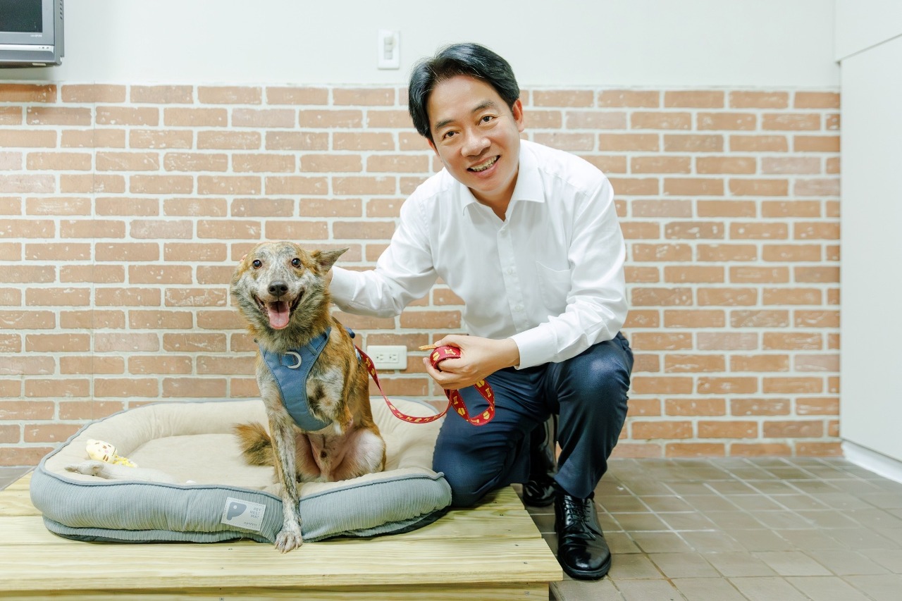 President Lai's amputee dog and 