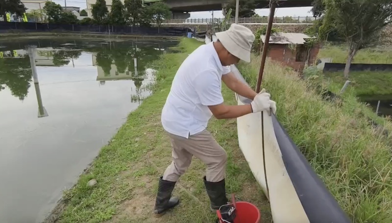 WATCH: Farmers race to protect Chinese mitten crab stock from the typhoon