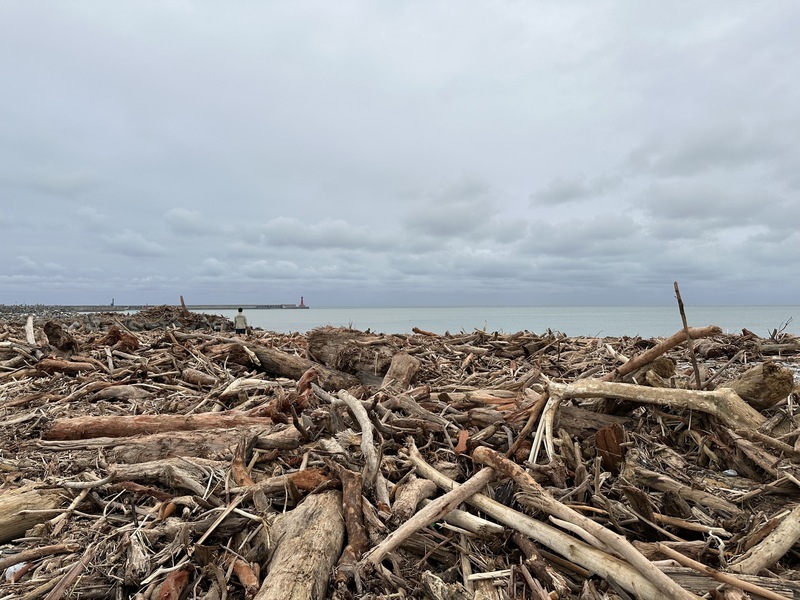 WATCH: Driftwood pileup on Hualien beach new photo tourist stop