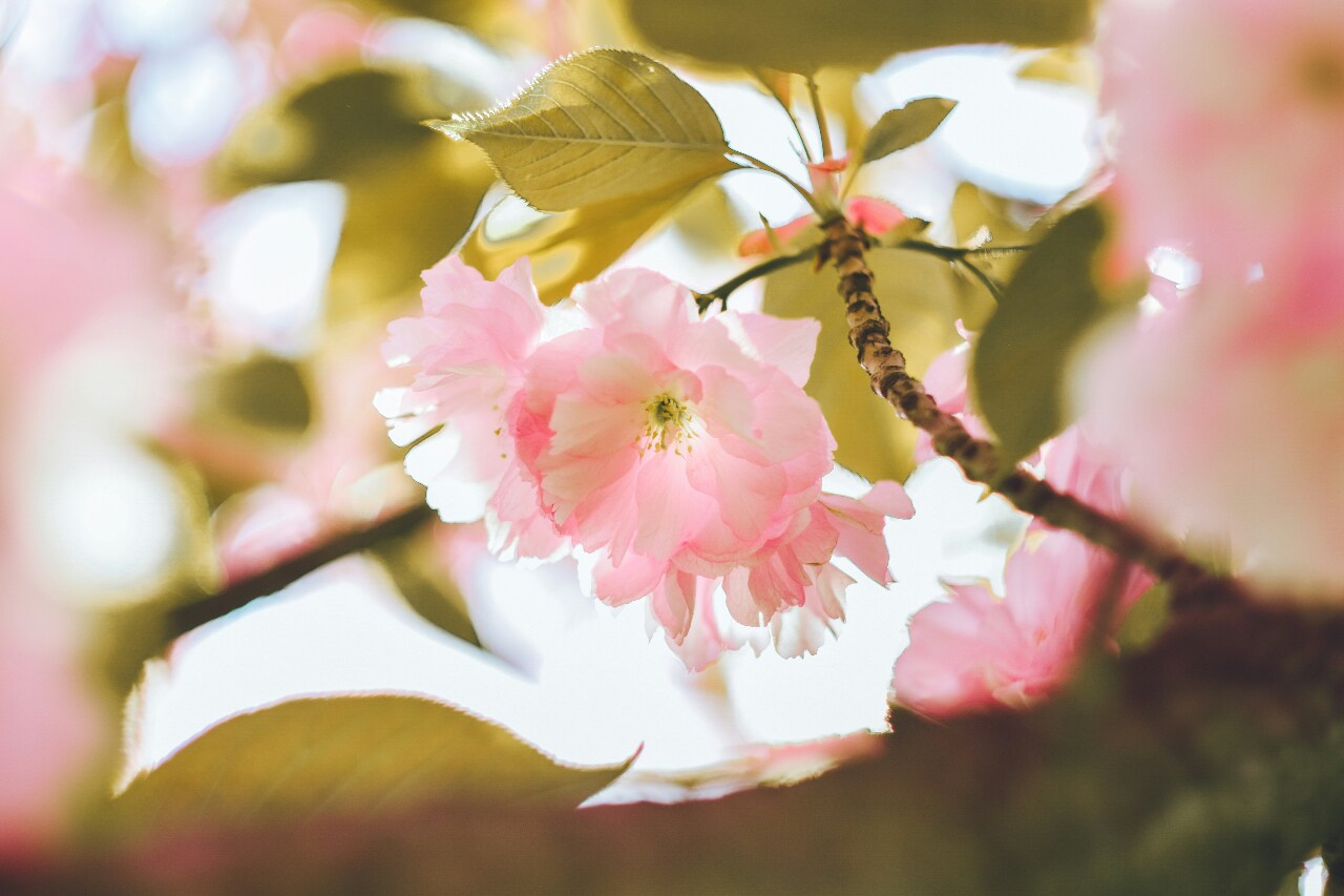 Spring Forward!