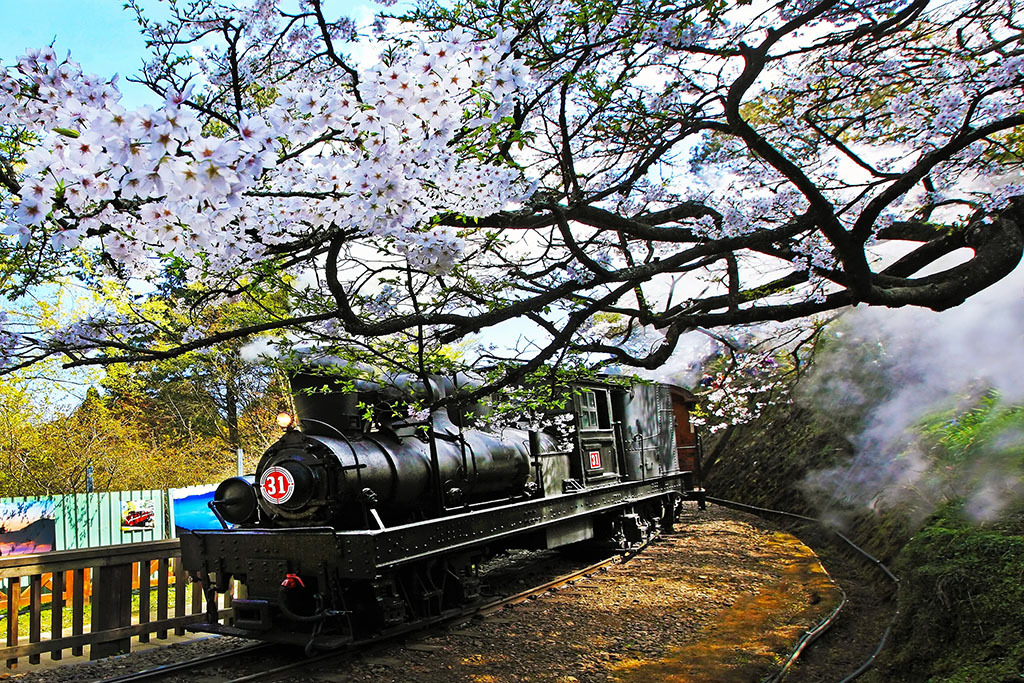Tummy Troubles, Trees, and Trains