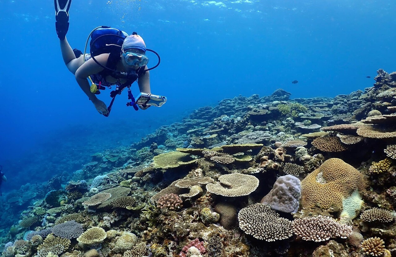 World Oceans Day